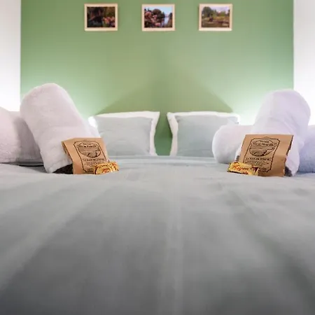 Les Hortillonnages_b&b Inn_centre Ville_terrasse_wifi_netflix * Αμιάν